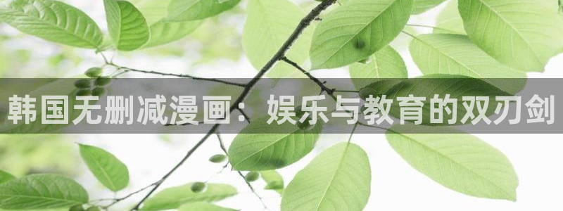 香蕉文化漫画污：韩国无删减漫画：娱乐与教育的双刃剑