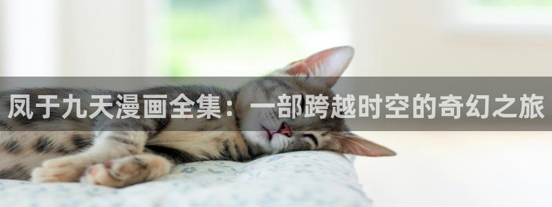 香蕉文化书虫虫漫画：凤于九天漫画全集：一部跨越时空的奇幻之旅
