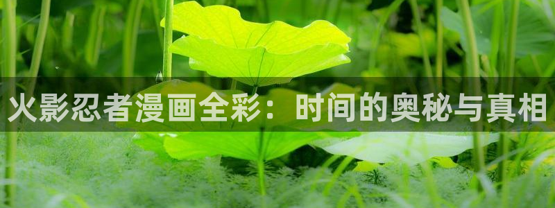 香蕉文化漫画阅读入口：火影忍者漫画全彩：时间的奥秘与真相