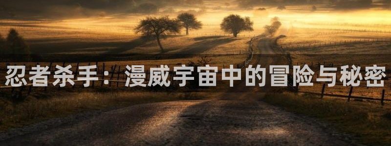 香蕉漫画app入口：忍者杀手：漫威宇宙中的冒险与秘密